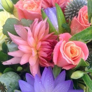 Shades of Pink and Mauve, Bouquet Flowers By Joanne