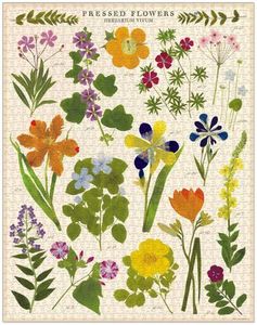 Cavallini & Co Vintage Puzzle Pressed Flowers 1000 Pce, Cards and Books Flow&hellip;