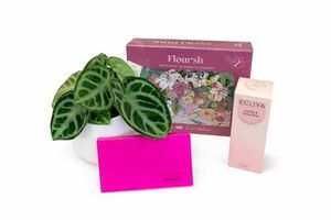 Products: A Little Time for Mum, Gift Pack Flowers By Joanne