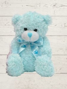 Lindsay blue teddy (H)