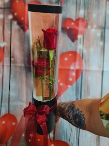 Valentines Collection: Valentines two roses