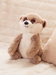 Toasty hugs - Milo Meerkat