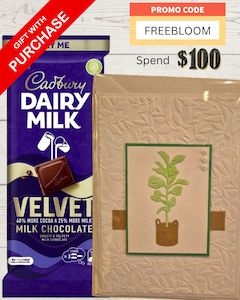 Soft Toys Hospital: Chocolate and Card package