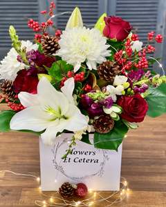 Christmas Collection: Berry & Bright