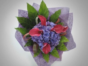 Products: Purple and Pink