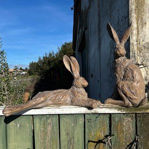Walnut Country Hare ~ Standing Earth