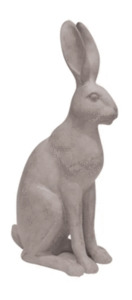 Harold the Hare Grey