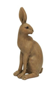 Harold the Hare turning Brown