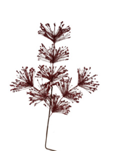 Red Glitter Pine Needles Spray
