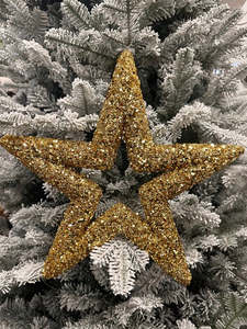 Gold Star
