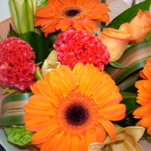 ORANGE DELIGHT – Flowers in the City