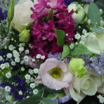 COTTAGE – Flowers in the City