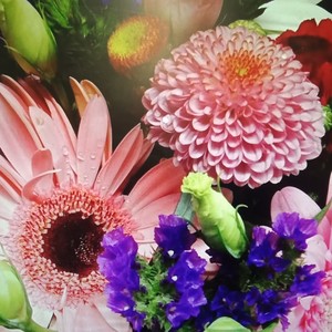 Products: Always a lady – Flowers in the City