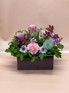 Modern Arrangement: F/Choice
