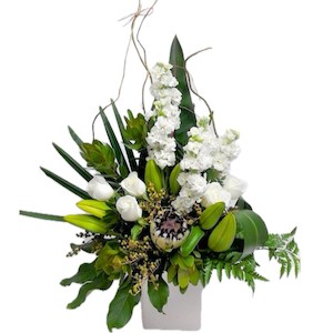 Products: Greens & Whites Protea Delight’s