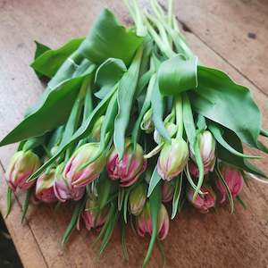 Bouquets: Totally Tulips Bouquet