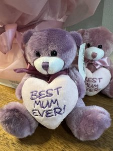 Pre-Order 'Best Mum Ever ' Plush Teddy Bear - Perfect Gift for Mom - Flowers tha&hellip;
