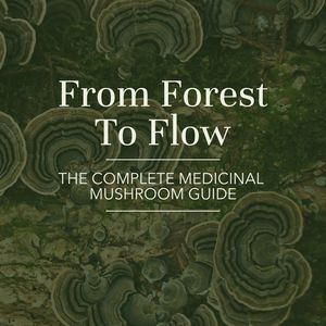 All Mushrooms: The Complete Medicinal Mushroom Guide (e-book)