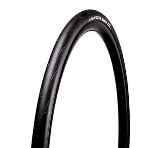 Road Tyres: GOODYEAR - 700C EAGLE F1 R
