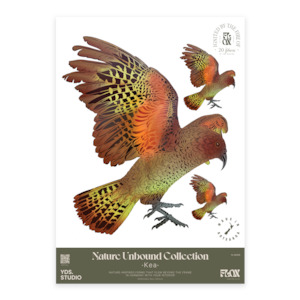 Kea Decal