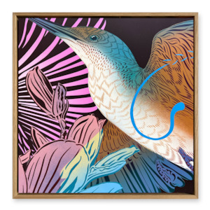 Evolution: Kingfisher1 & Electric Wings 50cm