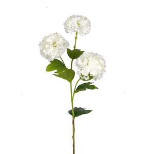 Plant: Viburnum Snowball - White
