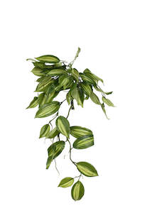 Artificial Plant: Vanilla Orchid Leaf Bush