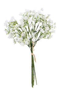 Plant: Gypsophila Bundle