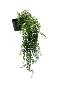 Get The Look Three Birds: Pea Leaf Hanging Bush Potted