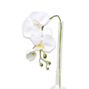 White Orchid Stem – 60cm Faux Flower with 3 Blooms