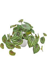 For The Beach Bum: Peperomia Watermelon Faux Plant – Real Touch Potted Greenery