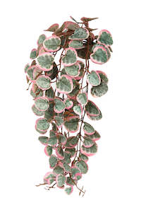 For The Boho Babe: Variegated String of Hearts – Pink & Green Faux Hanging Vine | 46cm