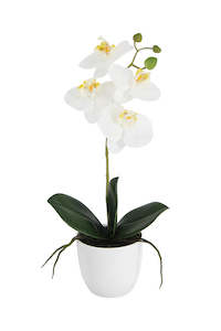 For The Beach Bum: Real Touch Phalaenopsis Orchid – White Potted 35.5cm