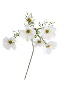 Faux Cosmos Spray – White (Also Available in Pink) | 51cm Stem