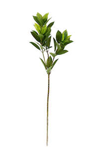 For The Boho Babe: Laurel Leaf Spray 82cm – Artificial Greenery Stem