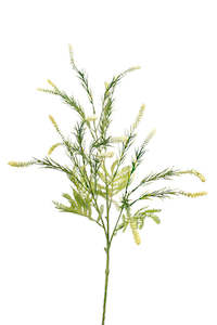 Setaria Spray Cream – Faux Grass Stem 86cm