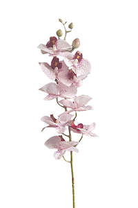 Mothers Day: Real Touch Moth Orchid – Pink/White Spot Stem 76cm