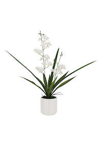 Real Touch Cymbidium Orchid in Ceramic Pot – 55cm Artificial White Orchid Plant