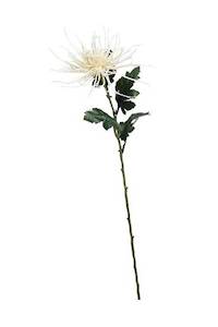 Cream Spider Mum Stem – 71cm Artificial Flower