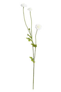 Pompom Spray White – Set of 4 Stems (59cm)