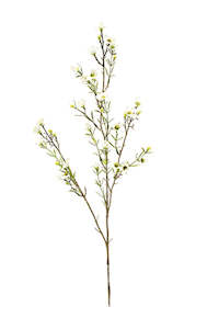 Artificial Flora: Wax Flower White 78cm – Artificial Floral Stem