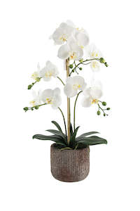 Modern Mallorca: Phalaenopsis Orchid in Rustic Pot – 61cm or 66cm | Artificial White Orchid