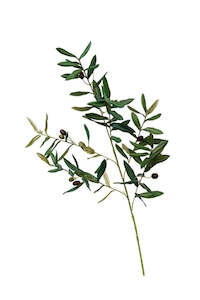 Twin: Artificial Olive Branch Stem – 104cm Lifelike Faux Foliage