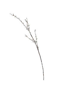 Artificial Pussy Willow Branch – Tall Faux Stem 1.16m