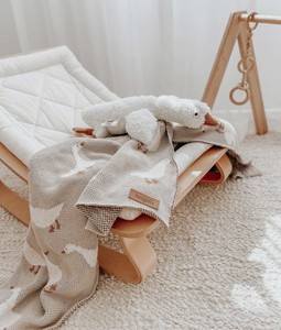 For The Little Ones: GOOSE BLANKET