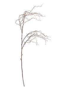 For The Boho Babe: Willow Branch Tall Brown Faux Stem 140cm