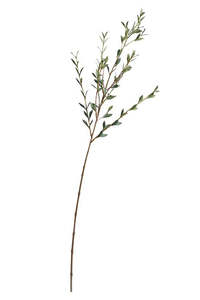 Artificial Flora: Italian Ruscus Spray 84cm | Faux Foliage Stem