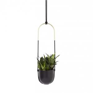 For The Green Finger: Bolo Wall or Ceiling Hanging Planter in Black and Brass by Umbra