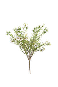 Alba Wax Flower Faux Bush White - 35cm
