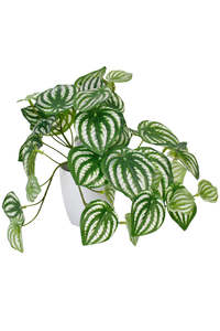 For The Boho Babe: Watermelon Peperomia Faux Potted Plant - 24cm